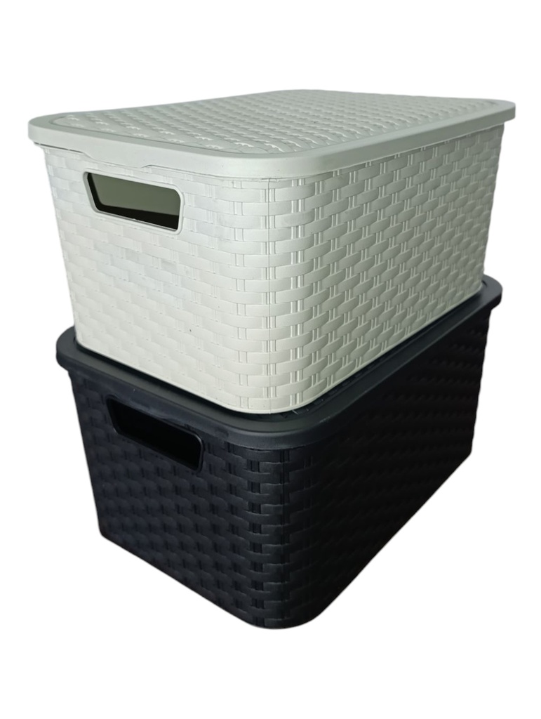 CANASTOS CON TAPA SIMIL RATAN 