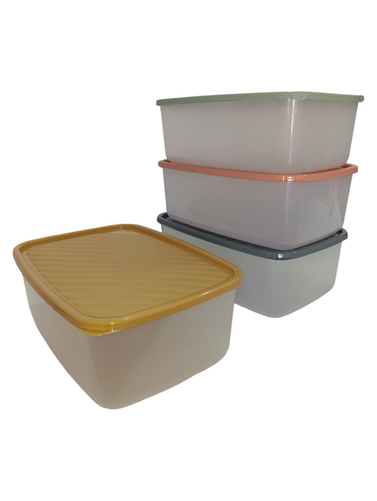 HERMETICO RECTANGULAR 12 Lt. "POO"